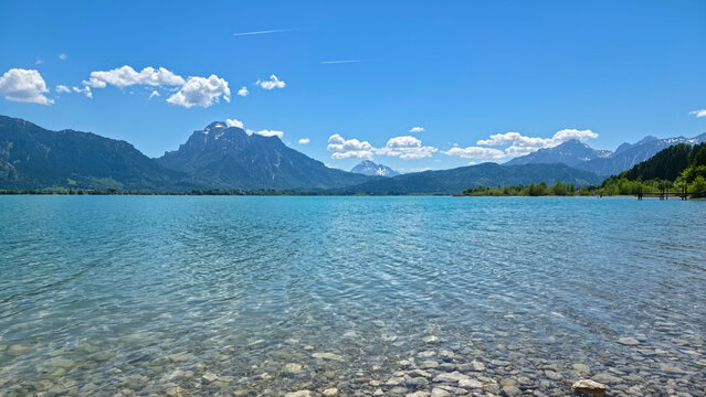 Germany, Scenic tree lined beach near Osterreinen pier overlooking Forggensee and Tegelberg mountain panorama