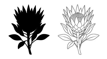 Fototapeta premium flower silhouette and line drawing botanical black