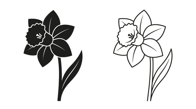 daffodil flowers in black and white line art
