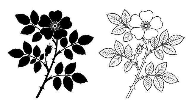 flower branch silhouette and line art black