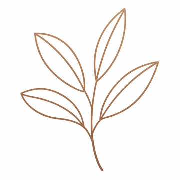 Minimalist Leaf Line Art A Single Botanical Sprig On White Background