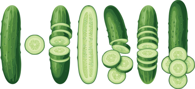 Fresh Green Cucumber Clipart Collection with Slices, Halves, and Whole Vegetables for Healthy Salad and Organic Grocery Food Vector Designs