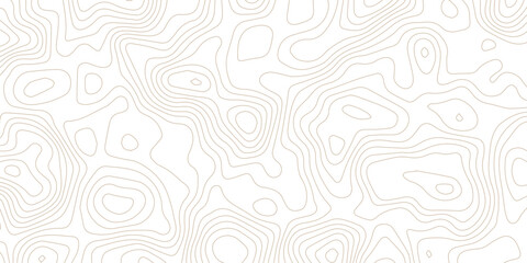 Modern geometric line art background with thin continuous lines. Minimalist geographic land elevation grid pattern for tech banner. © Vector man