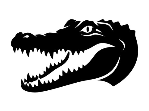 alligator head silhouette on white background crocodile
