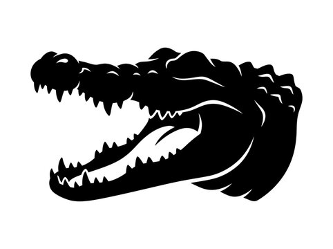alligator head silhouette on white background crocodile
