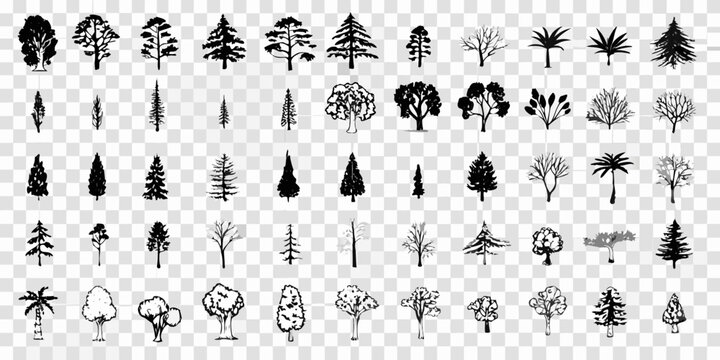 Collection Of Black Silhouette Tree Icons On Transparent Background