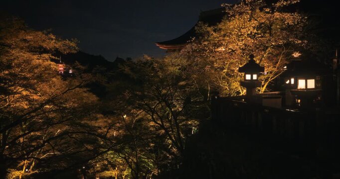 Old Japanese lanterns at ancient temple lighting up beautiful trees at night