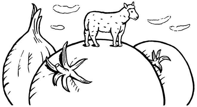 Lamm oder Schaf mit Tomaten und Zwiebel, Schwarz-Wei&szlig;-Illustration