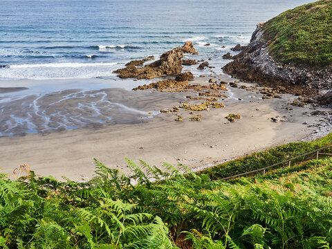 Nature and the Cantabrian sea in Arnao Beach. Castrill&oacute;n, Asturias, Spain, Europe   