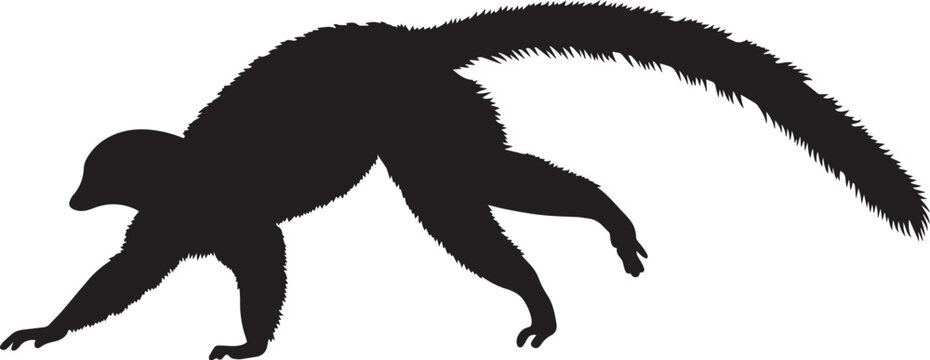 Silhouette of a monkey in a dynamic pose with long tail