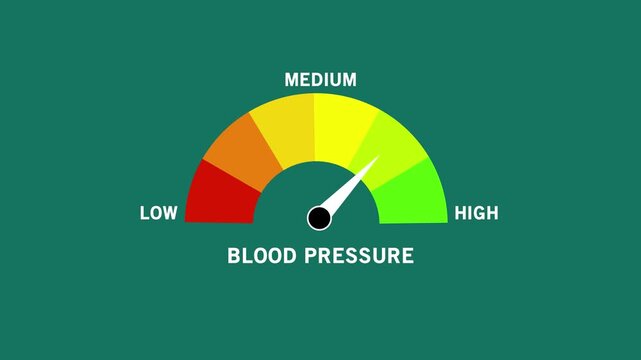 Blood Pressure Level Text or Word Low and Medium to High Meter Concept Animation. blood pressure levels with sections marked low to high, 4k Animation video on Black Background