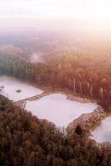 Obraz premium Rectangular fish ponds frozen in the middle of woods