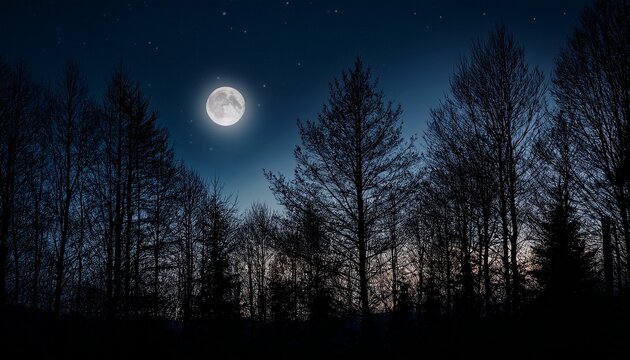 a still dark night scene inky black sky a sliver of moon barely visible trees silhouetted against the darkness conveying a sense of quiet stillness and mystery gloom forest celestial