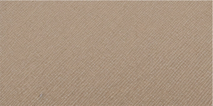 Textured wood surface background showing fine grain detail with soft diffuse lighting and copy space