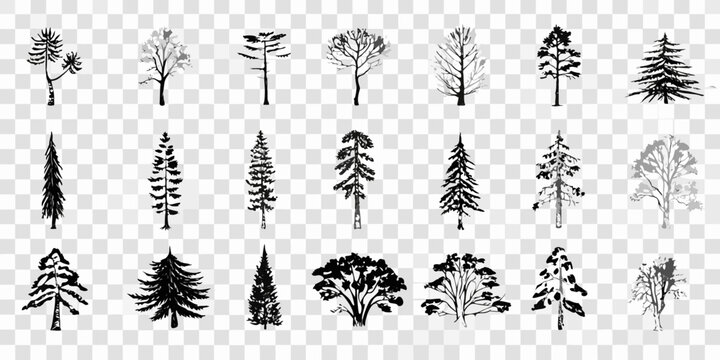 Collection Of Black Silhouette Tree Icons On Transparent Background