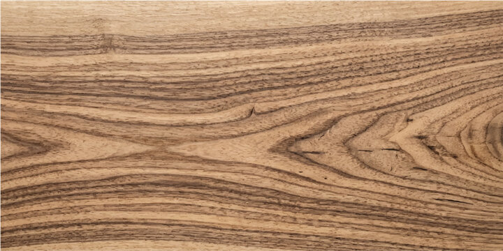 Background Abstract Light Beige Oak Wood Texture - Closeup Detail