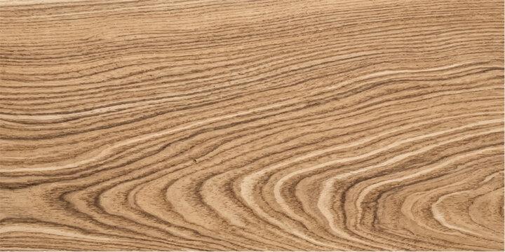 Background Abstract Light Beige Oak Wood Texture - Closeup Detail
