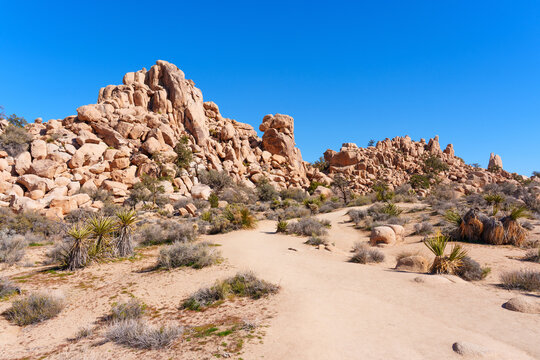Granite Rock Formations and Desert Landscape in Joshua Tree Park