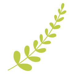 Obraz premium Leaf png sticker, cute illustration, transparent background