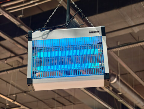 ReedNee electric UV insect killer lamp hangs in store and actively traps flies and mosquitoes. Electronic ReedNee bug zapper lantern works in supermarket for pest control