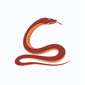 Stylized illustration of a brown snake with its tongue flicking