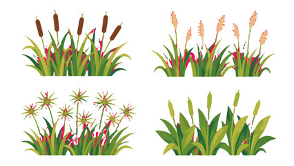 Set of aquatic plant border elements with reeds and cattails © icon_art