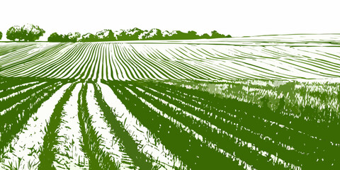 Plowed Field Landscape Illustration Green And White Sketch Style © Sourav
