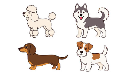 Cute cartoon dog breed set with poodle husky dachshund and terrier © icon_art