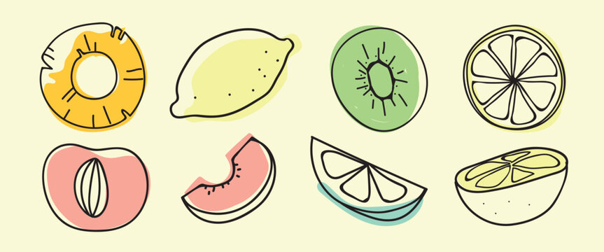Colorful fruit slice collection vector illustration on light background