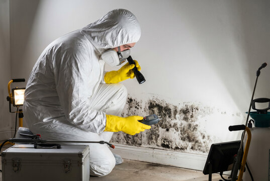 Professional mold remediation inspector in hazmat suit and respirator using a moisture meter and flashlight to examine toxic black mold on a basement wall. AI genereted photo.