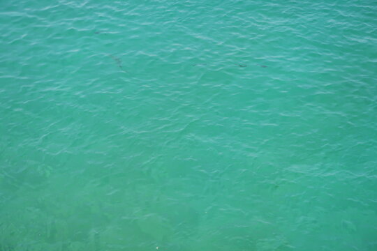 Agua turquesa