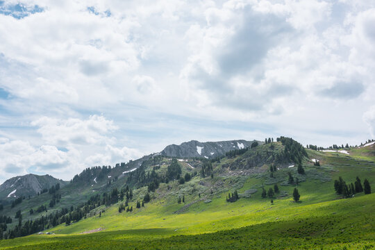 Mountain Landscape. Slope Of Mountain Range With Coniferous Forest