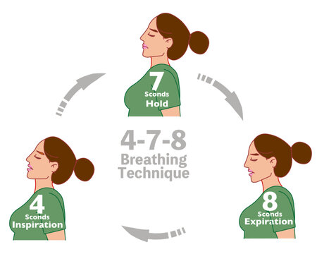 4 7 8 breath technique, cycle. Breathing in for 4 seconds, holding the inhalation for 7 seconds, and exhaling for 8 seconds. Meditation relaxation exercise. Illustration vector