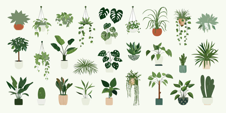 Variety Of Houseplants A Flat Vector Illustration Collection