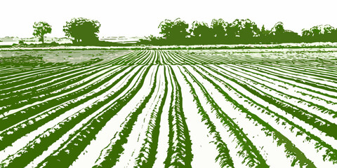 Plowed Field Landscape Illustration Green Tones And Linear Style © SreemotiRaba