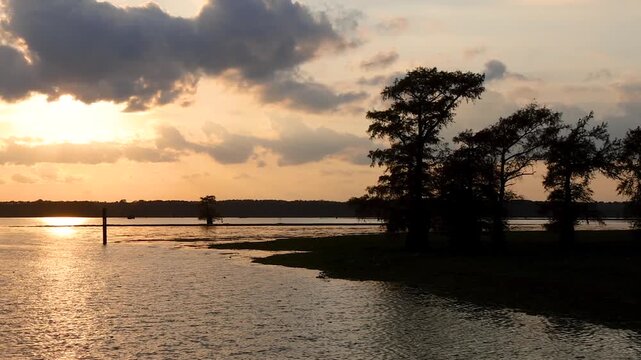 Golden sunset reflecting over a serene cypress tree lake