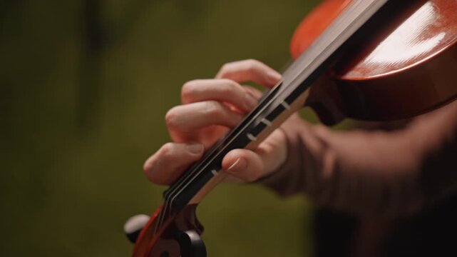 Instrument tuning preparation. Violin tuning and warmup process. Preparing violin by tuning and adjusting before practice. Close examination of violin tuning components prior to rehearsal session