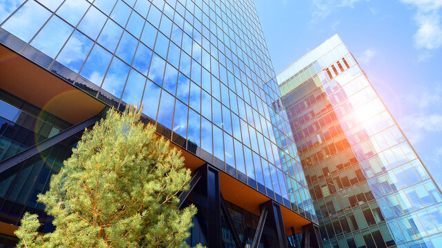 Eco building in modern city concept. Modern office building with the fresh green leaves. Steel and glass. The subject of modern architecture or construction industry. 