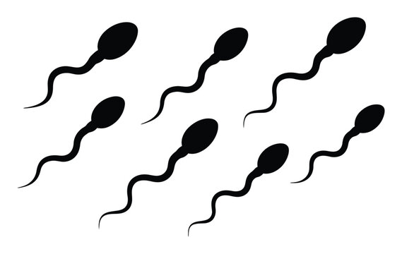 Black sperm cell silhouettes swimming on white background