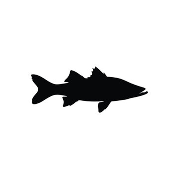Snook fish silhouette icon vector flat design.