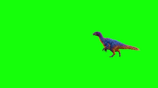 A realistic 3D animation of a purple and orange theropod dinosaur running at full speed against a solid green screen backdrop. Ideal for filmmakers and content creators looking to composite a fierce p
