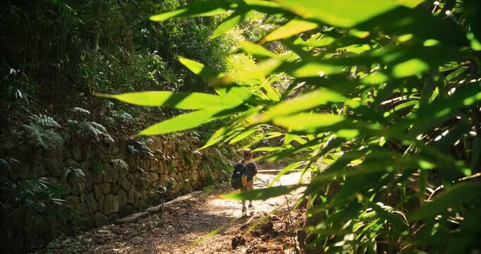 Young boy walking alone on Japanese forest path as wind blows foliage