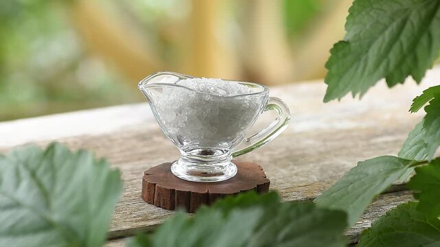 Borneol camphor crystal and Patchouli branch green leaves on natural background.