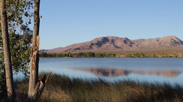 Dawn light on the marsh and mountains at Pahranagat National Wildlife Refuge in Nevada
