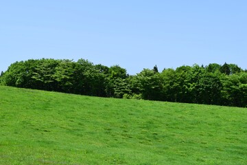 Fototapeta premium 月山高原牧場 最高の眺め 山形県