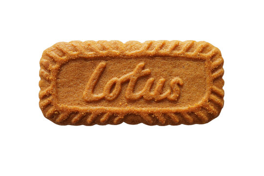 Lotus Biscoff caramelized biscuit isolated on transparent background