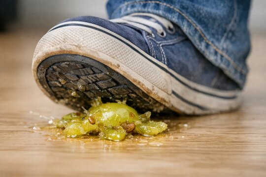 A person's shoe sits near scraps of food, perhaps left behind in a hurry