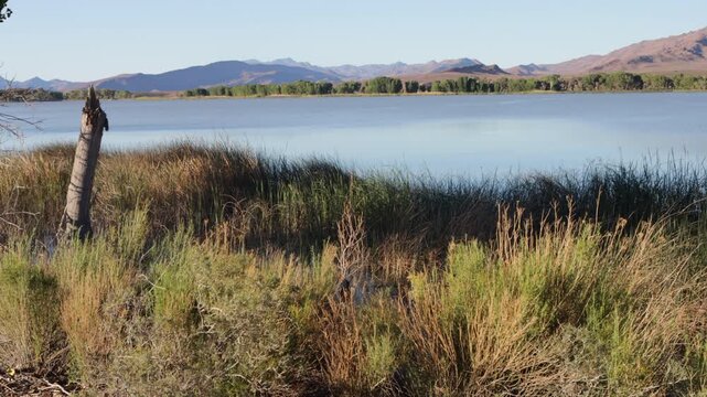 Dawn light on the marsh and mountains at Pahranagat National Wildlife Refuge in Nevada