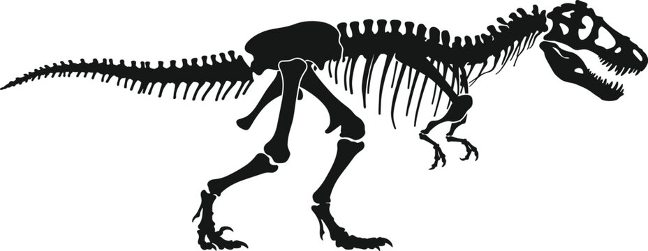 Silhouette of a Tyrannosaurus Rex dinosaur skeleton in a side profile view with an isolated transparent background for easy design use and educational purposes
