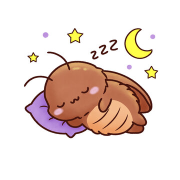 Sleeping Cockroach with Moon Sticker